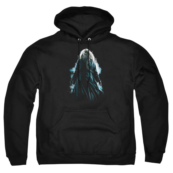 Harry Potter - Dumbledore Burst Adult Pullover Hoodie