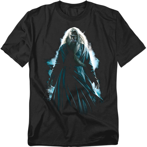 Harry Potter - Dumbledore Burst Adult Regular Fit Short Sleeve