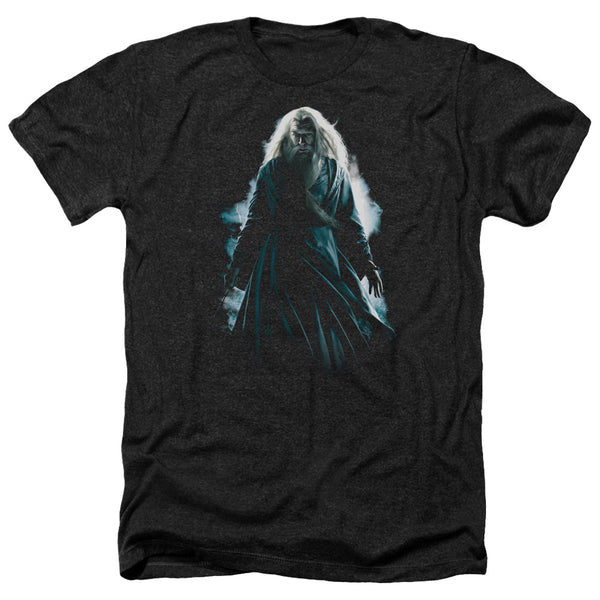 Harry Potter - Dumbledore Burst Adult Regular Fit Heather Short Sleeve
