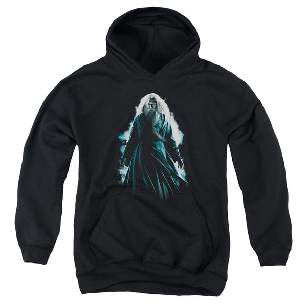 Harry Potter - Dumbledore Burst Youth Hooded Sweatshirt