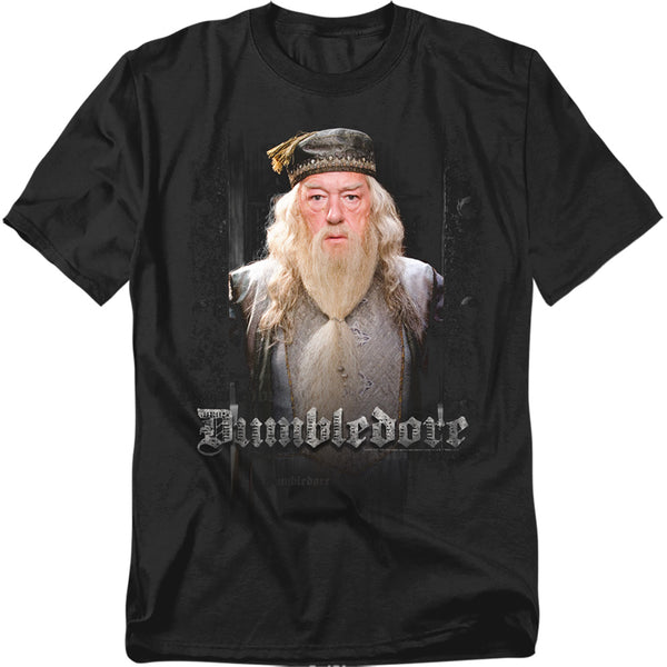 Harry Potter - Dumble Doors Adult Regular Fit Short Sleeve