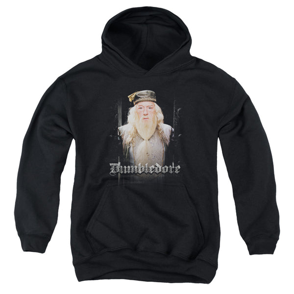 Harry Potter - Dumble Doors Youth Hooded Sweatshirt