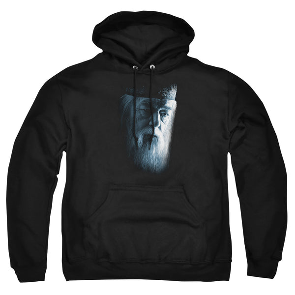 Harry Potter - Dumbledore Face Adult Pullover Hoodie