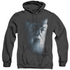 Harry Potter - Dumbledore Face Adult Heather Hoodie