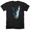 Harry Potter - Dumbledore Face Adult Regular Fit Heather Short Sleeve
