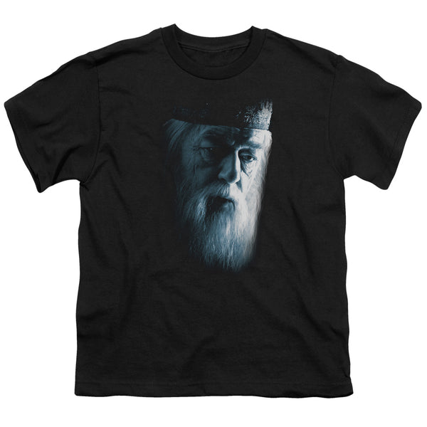 Harry Potter - Dumbledore Face Youth Short Sleeve