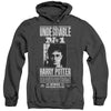 Harry Potter - Undesirable No 1 Adult Heather Hoodie