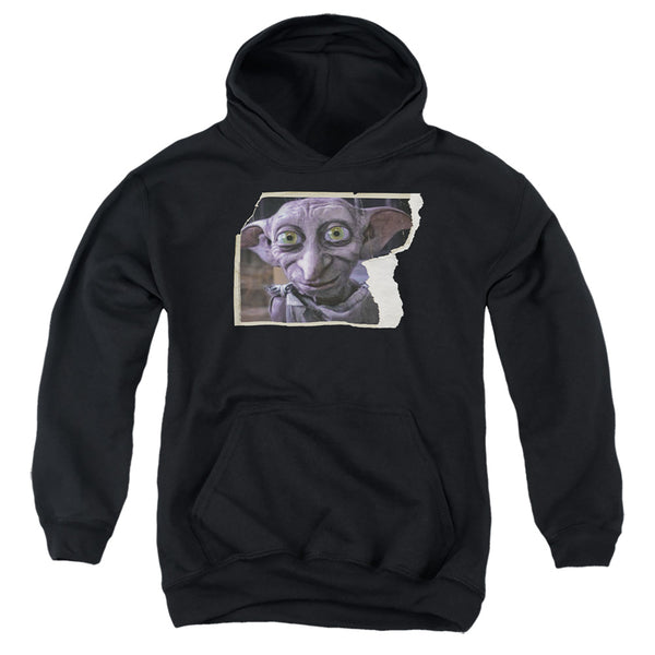 Harry Potter - Dobby Worn Photo Youth Hooded Sweatshirt