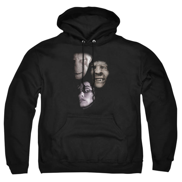 Harry Potter - Villian Heads Adult Pullover Hoodie