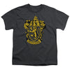 Harry Potter - Gryffindor Crest Youth Short Sleeve