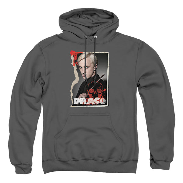 Harry Potter - Draco Frame Adult Pullover Hoodie