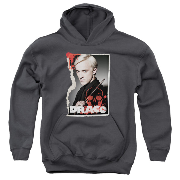 Harry Potter - Draco Frame Youth Hooded Sweatshirt