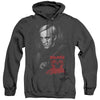 Harry Potter - Draco Portrait Adult Heather Hoodie