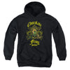 Harry Potter - Chocolate Frog Youth Hooded Sweatshirt