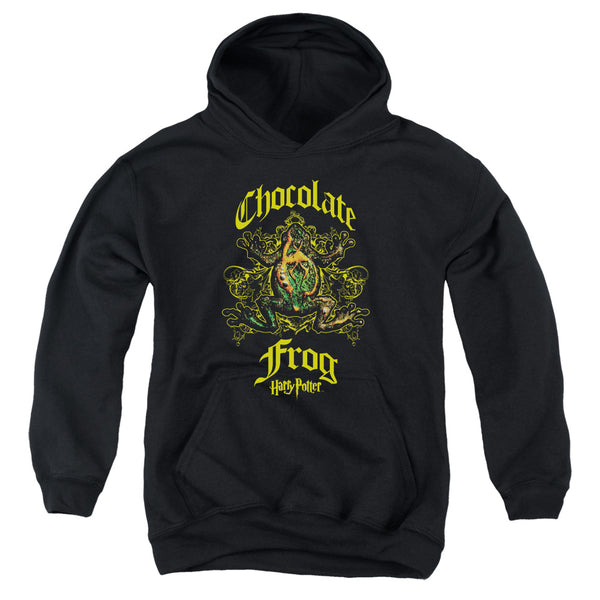 Harry Potter - Chocolate Frog Youth Hooded Sweatshirt