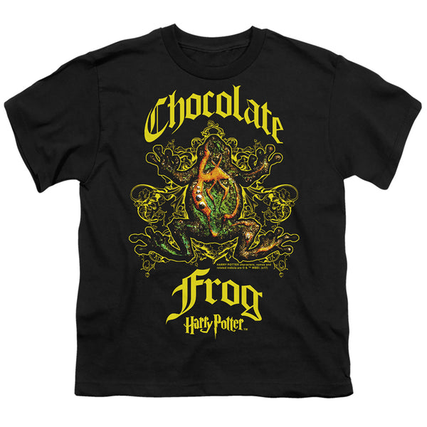 Harry Potter - Chocolate Frog Youth Short Sleeve