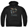 Harry Potter - Final Fight Adult Pullover Hoodie