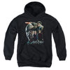 Harry Potter - Final Fight Youth Hooded Sweatshirt