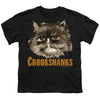 Harry Potter - Crookshanks Youth Short Sleeve
