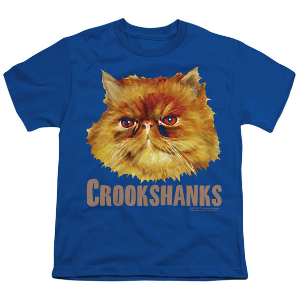 Harry Potter - Crookshanks Color Youth Short Sleeve