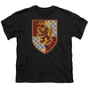 Harry Potter - Gryffindor Shield Crest Youth Short Sleeve