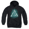 Harry Potter - Geometric Deathly Hallows Youth Hooded Sweatshirt