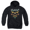 Harry Potter - Quidditch Equipment Logo Youth Hooded Sweatshirt