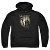 Injustice Gods Among Us - Battle Of The Gods Adult Pullover Hoodie