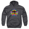 JLA - Stand Tall Youth Hooded Sweatshirt
