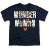 Wonder Woman - Ww 80Th Illustrated Type Youth Short Sleeve