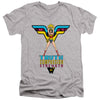 Wonder Woman - Truth, Compassion, Strength Adult Slim Fit V Neck Cotton