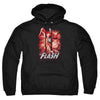 JLA - Flash Red & Gray Adult Pullover Hoodie