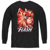JLA - Flash Red & Gray L - S Youth