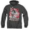 Jla - Wonder Woman Red And Gray Adult Heather Hoodie