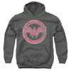Wonder Woman - Emblem 1 Youth Hooded Sweatshirt