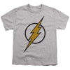 Justice League - Flash Muted Color Bolt Youth Short Sleeve