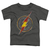 Justice League - Flash Busted Logo Toddler Short Sleeve