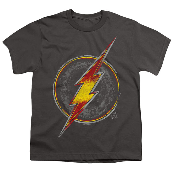 Justice League - Flash Busted Logo Youth Short Sleeve