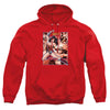 JLA - Wonder Woman Panels Adult Pullover Hoodie