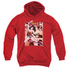 JLA - Wonder Woman Panels Youth Hooded Sweatshirt