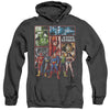 JLA - Justice League Panels Adult Heather Hoodie