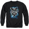JLA - Justice Storm Adult Crewneck Sweatshirt