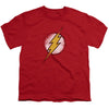 JLA - Destroyed Flash Logo Youth Short Sleeve