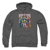 JLA - Neighborhood Watch Adult Pullover Hoodie