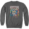 JLA - Neighborhood Watch Adult Crewneck Sweatshirt