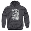 JLA - Atmospheric Youth Hooded Sweatshirt