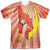 JLA - Speed Of Light Adult Regular Fit Short Sleeve 100% Poly
