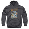 JLA - Big Group Youth Hooded Sweatshirt