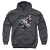 JLA - Tag Team Youth Hooded Sweatshirt