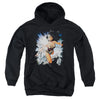 JLA - Of Themyscira Youth Hooded Sweatshirt